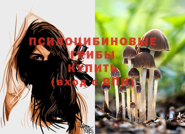 стаф Беломорск